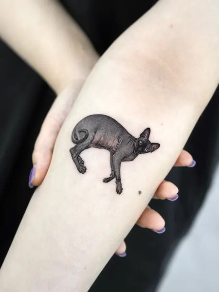염소, 양, 돼지, 멧돼지, Animal, 여우, 너구리