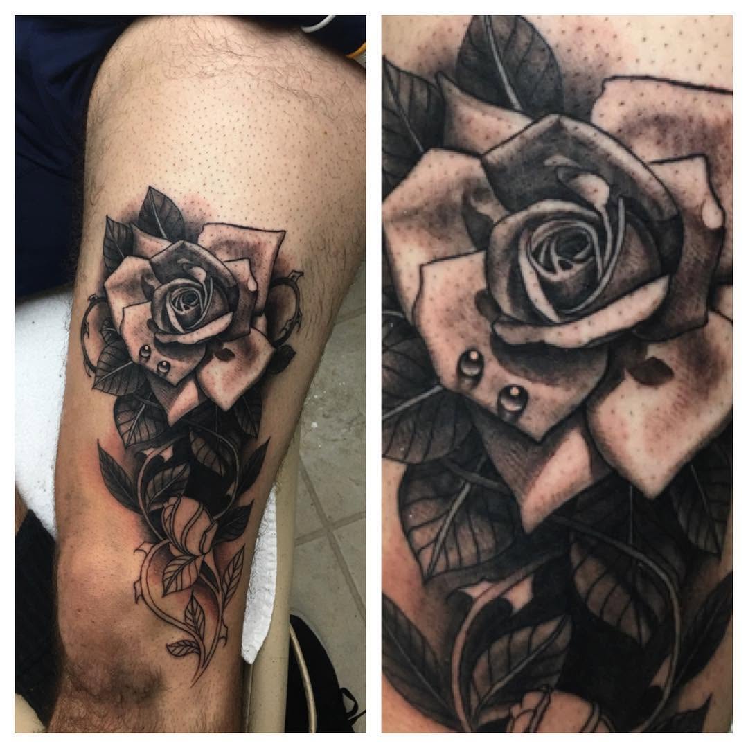 Flower, Rose