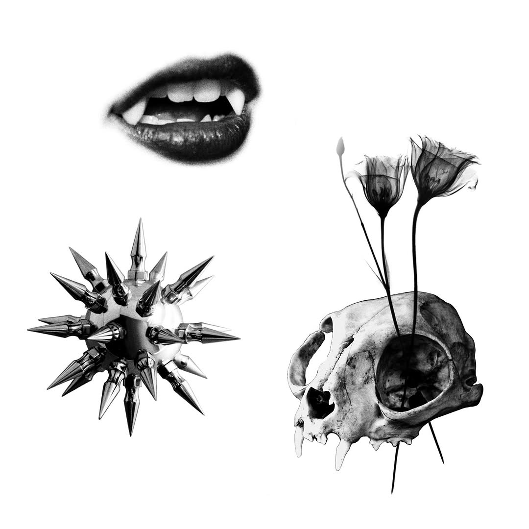 plantsnpokes