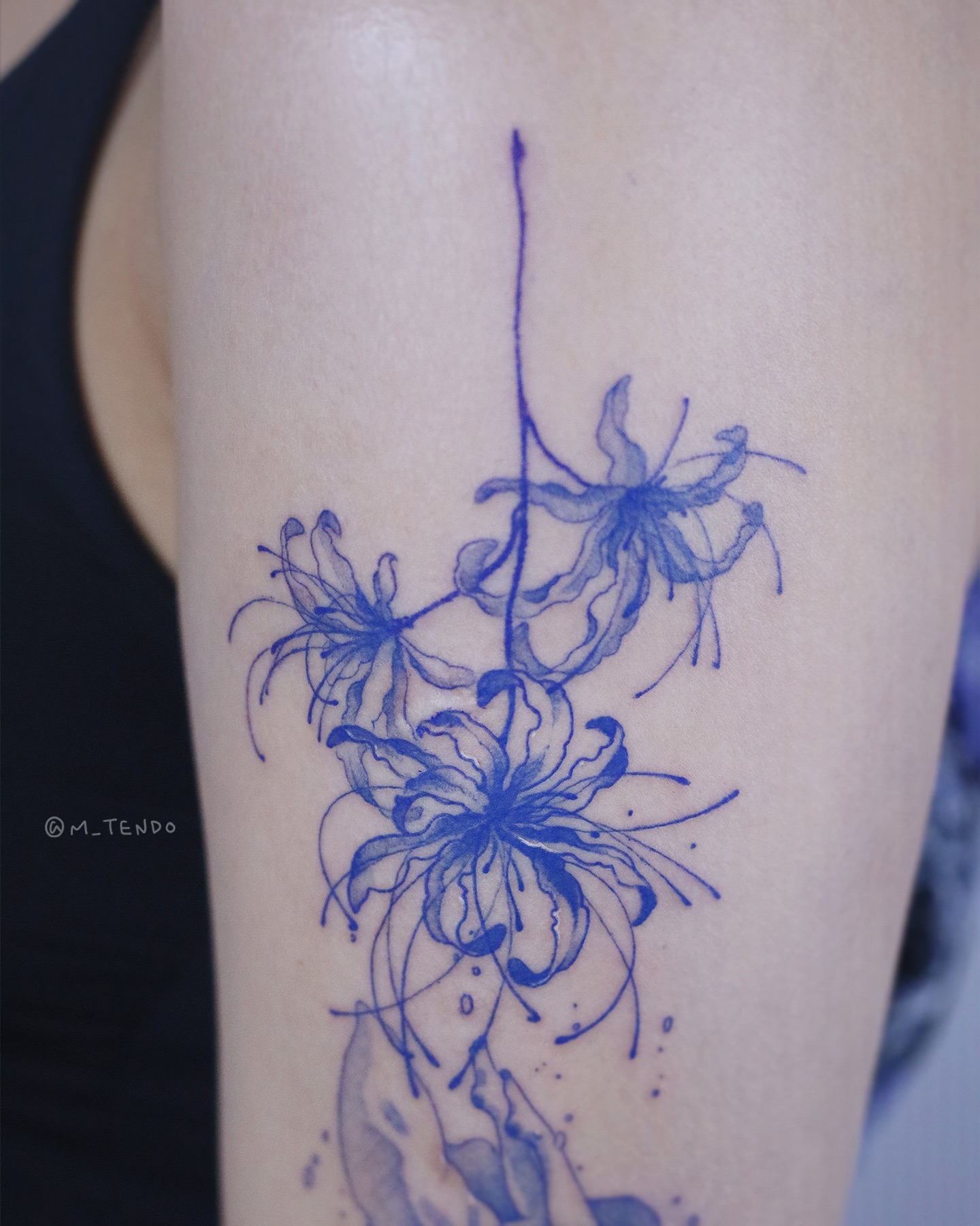 Rose, Flower