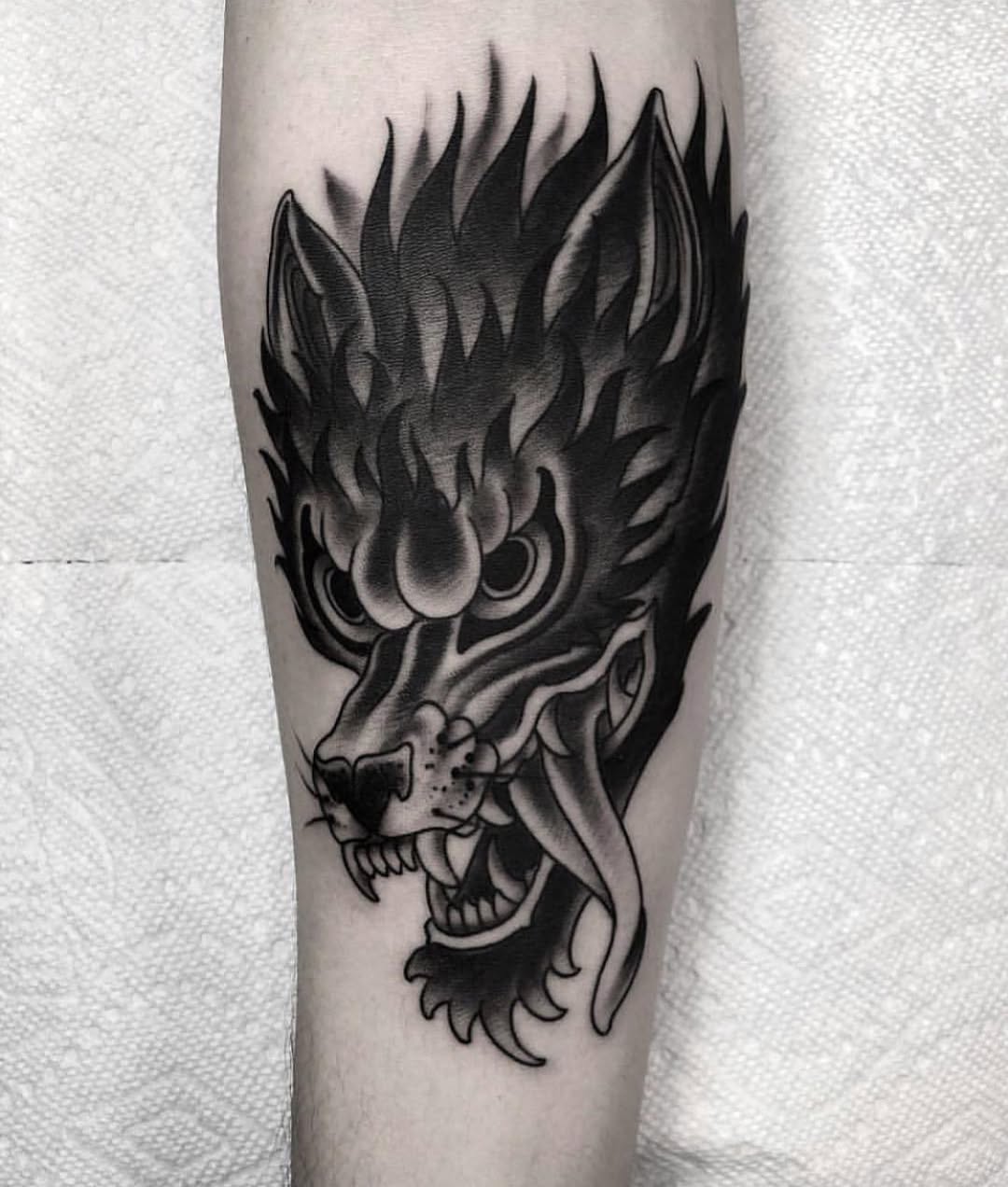 Tiger, Animal