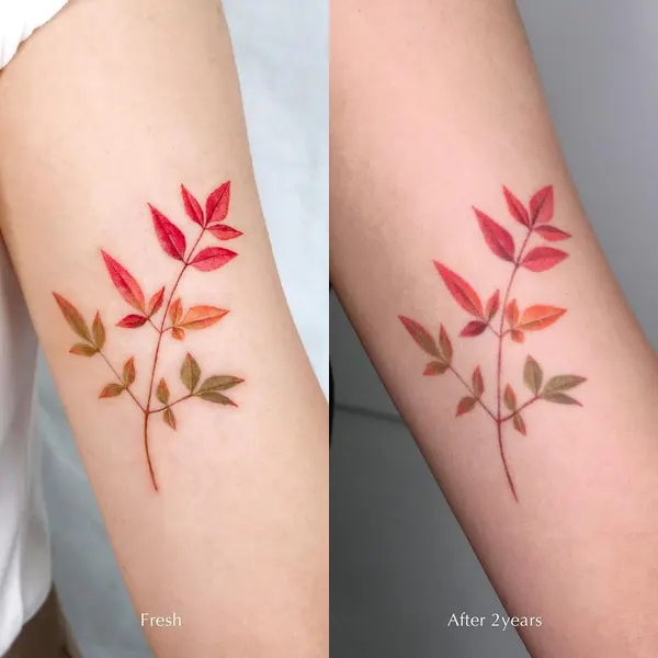 Rose, Flower