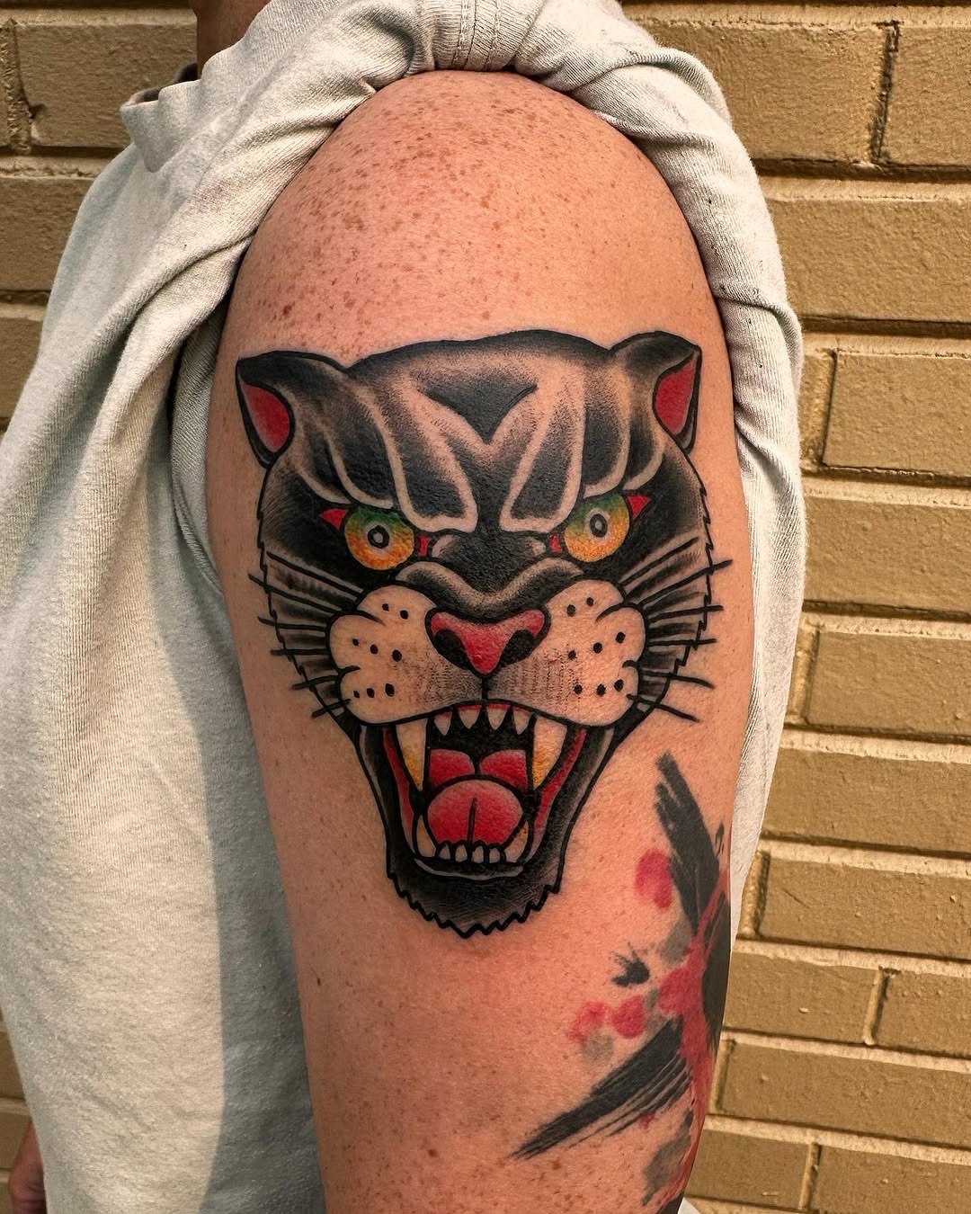 Animal, Tiger