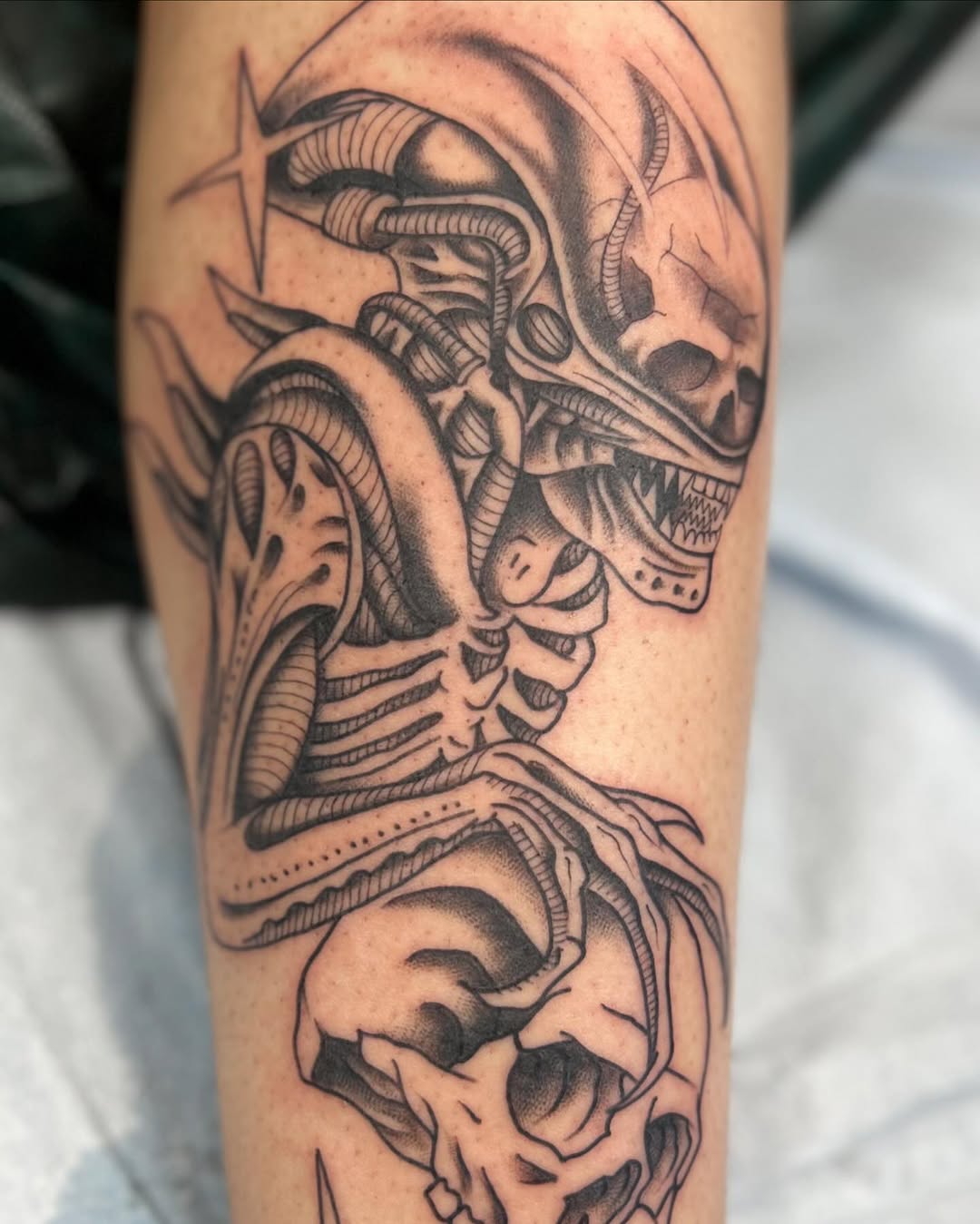 Dragon