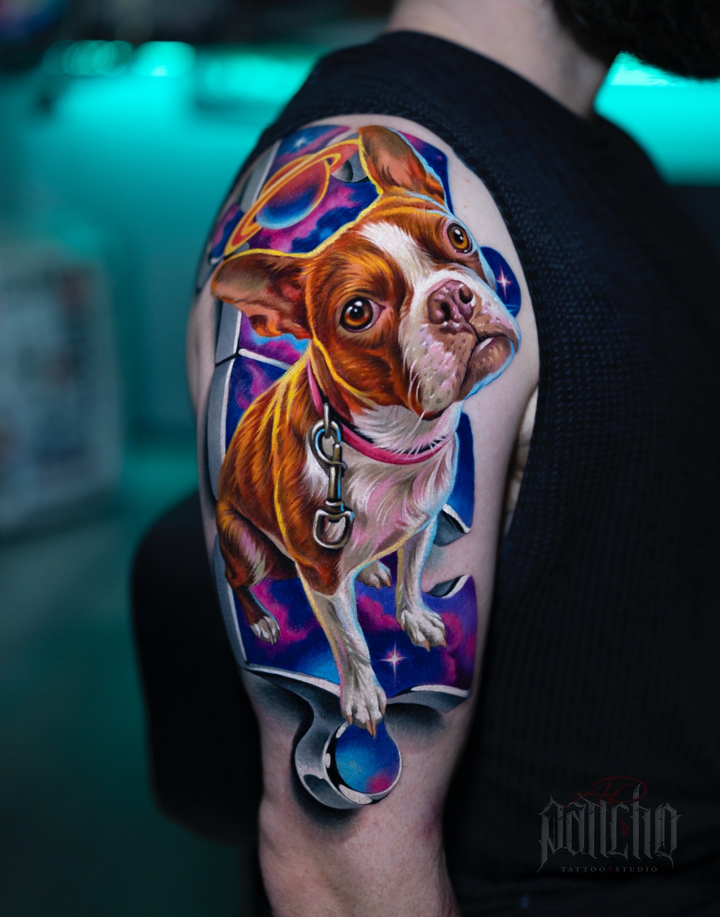 Animal