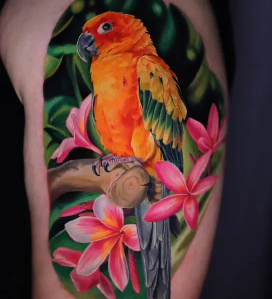 Animal, Nature