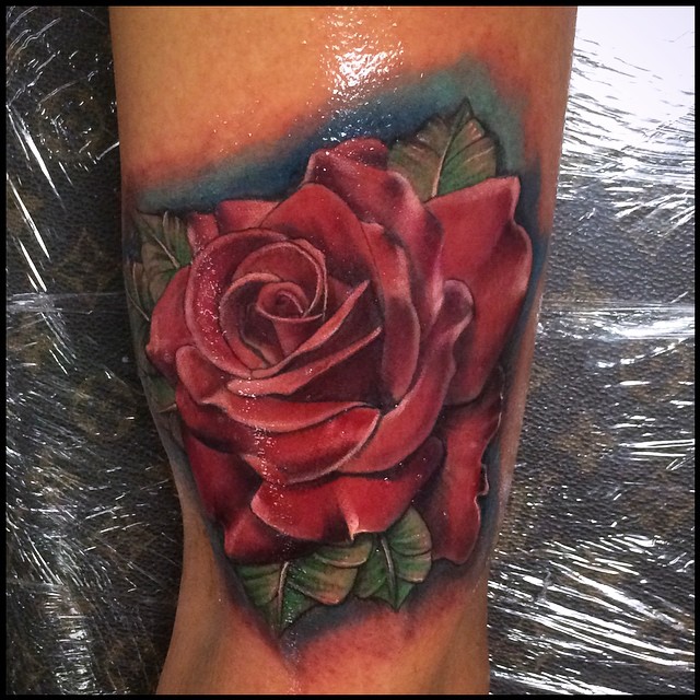 Flower, Rose