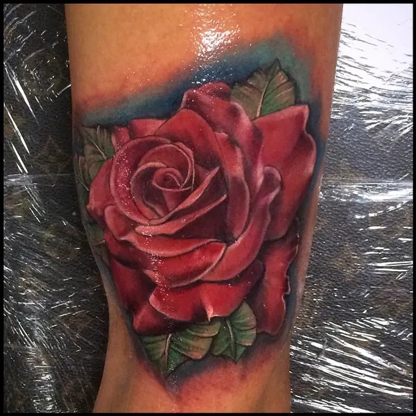 Flower, Rose