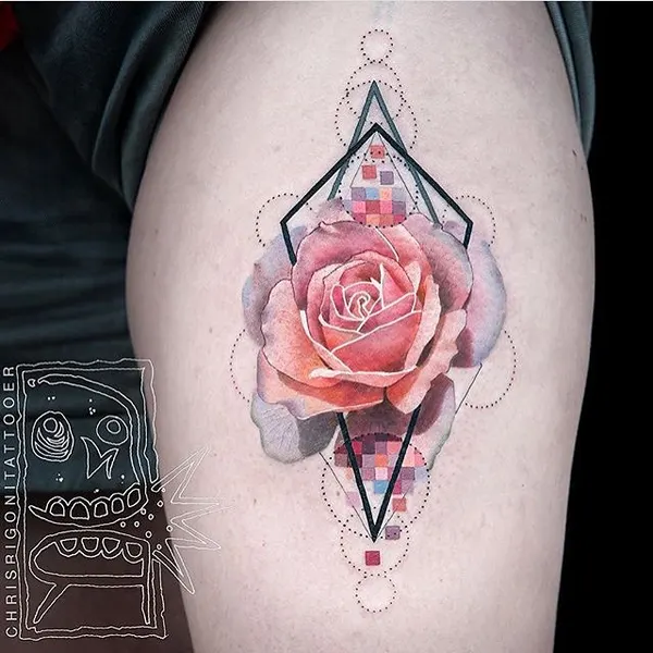 Rose, Nature, Flower