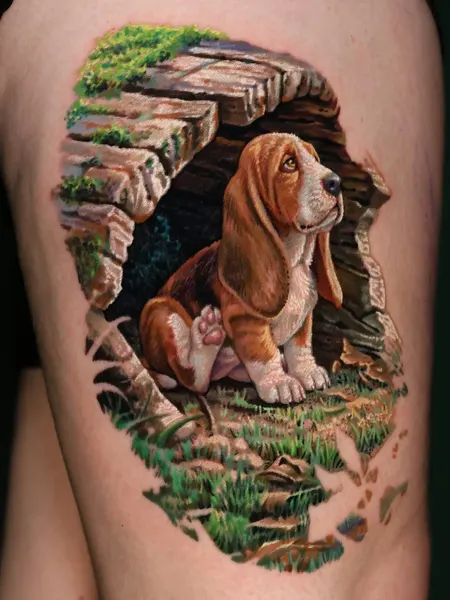 Animal