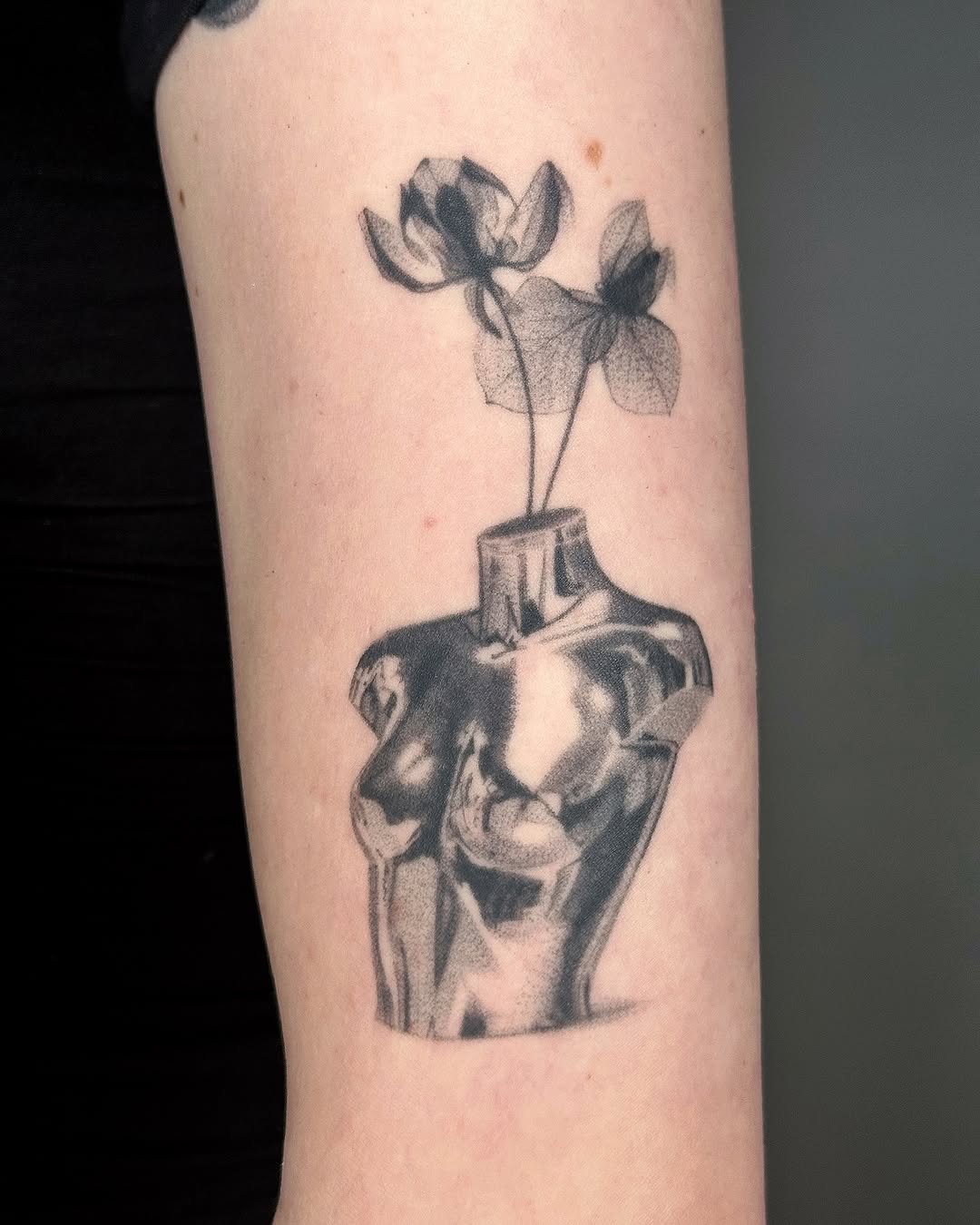 plantsnpokes