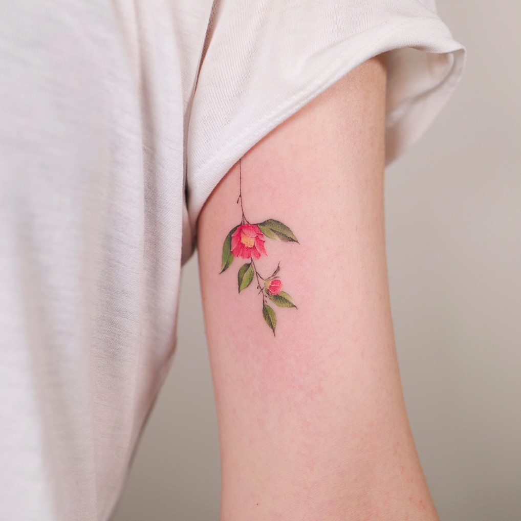 Flower, Rose