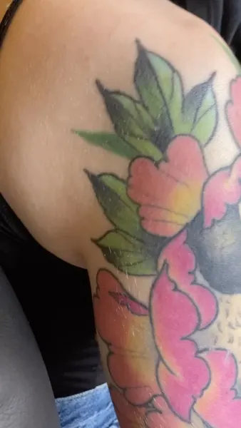 Flower, Rose