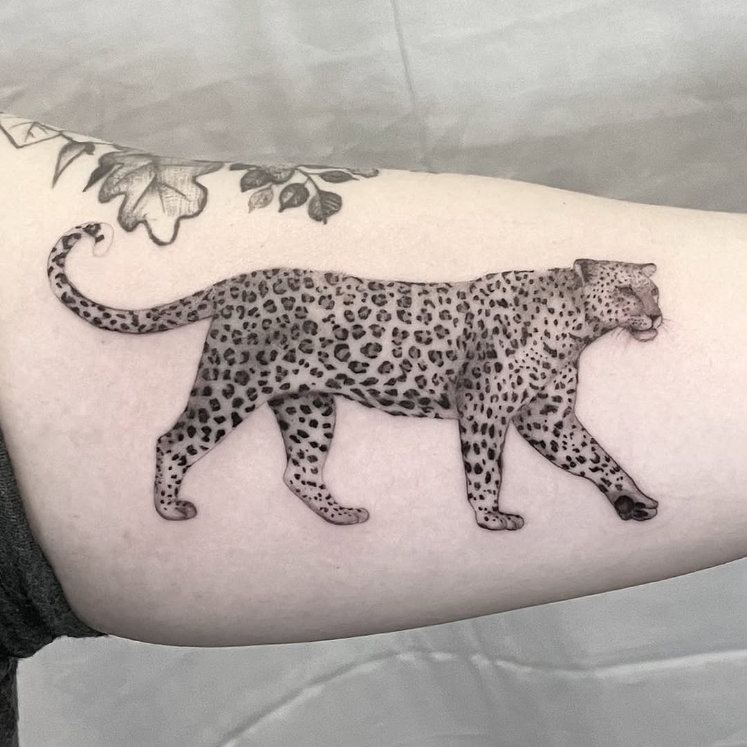 Animal, Tiger