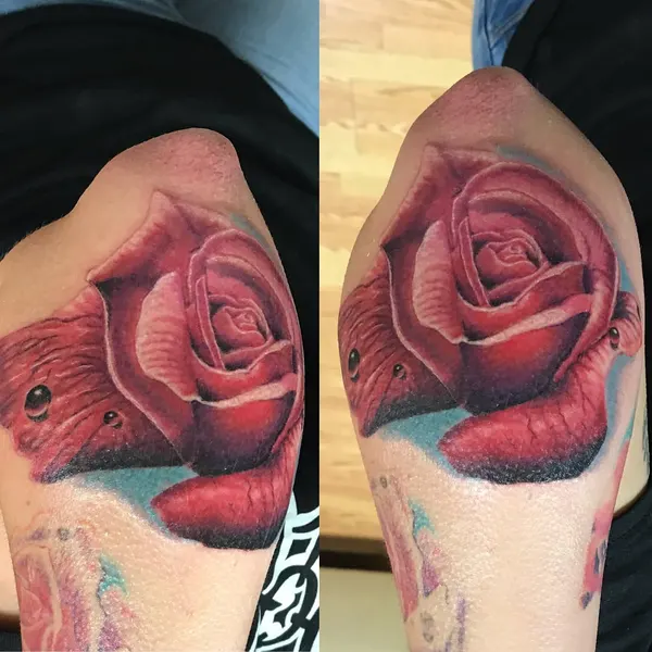 Flower, Rose