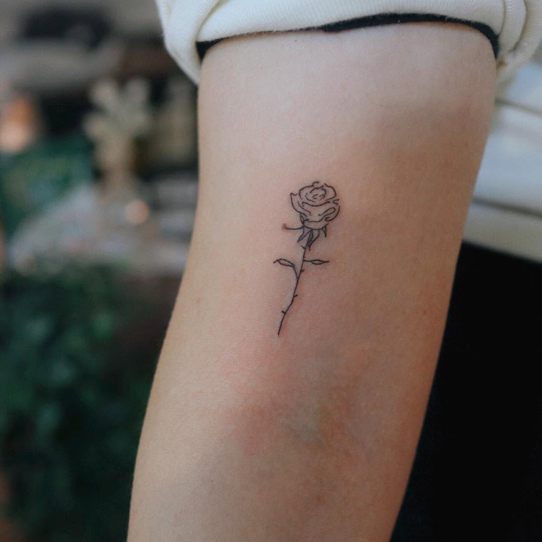 Rose, Flower