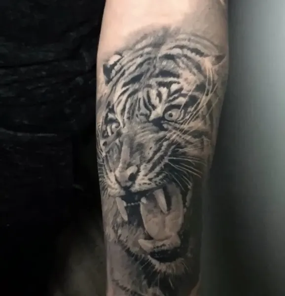 Tiger