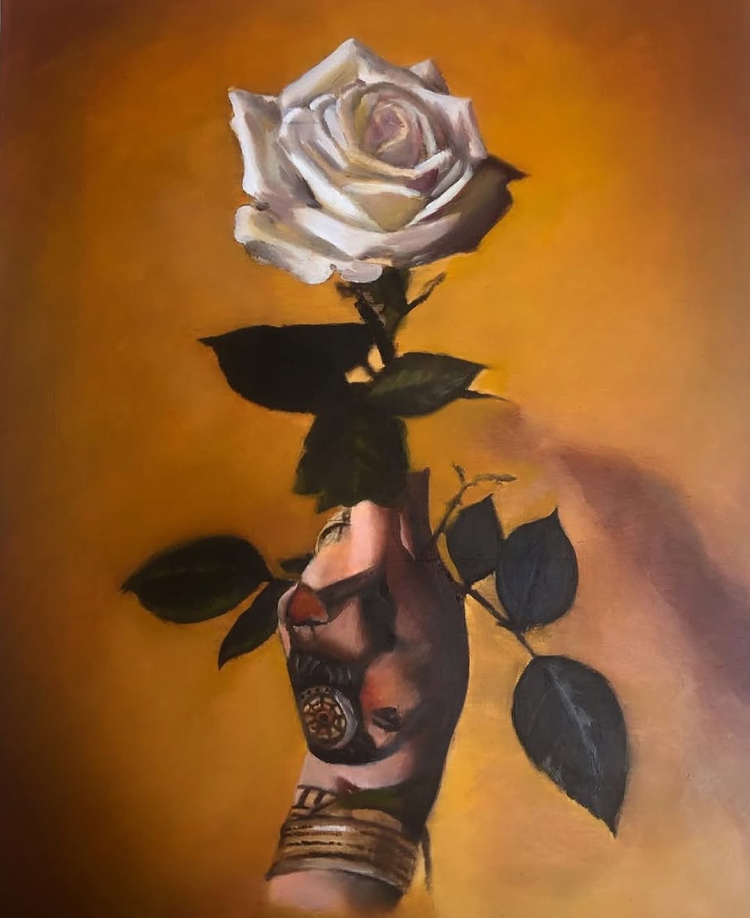 Flower, Rose
