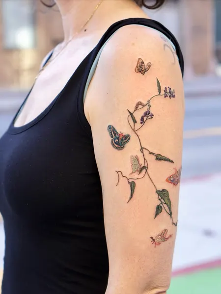 Flower, Animal, Rose, Nature
