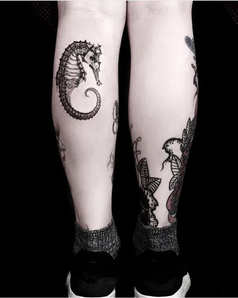 equilattera