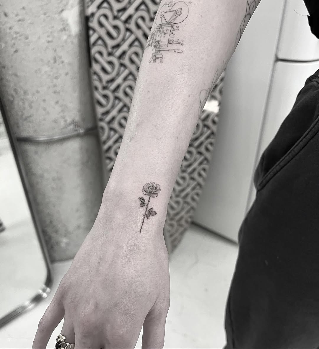 Flower, Rose