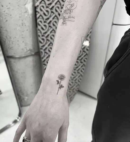 Flower, Rose