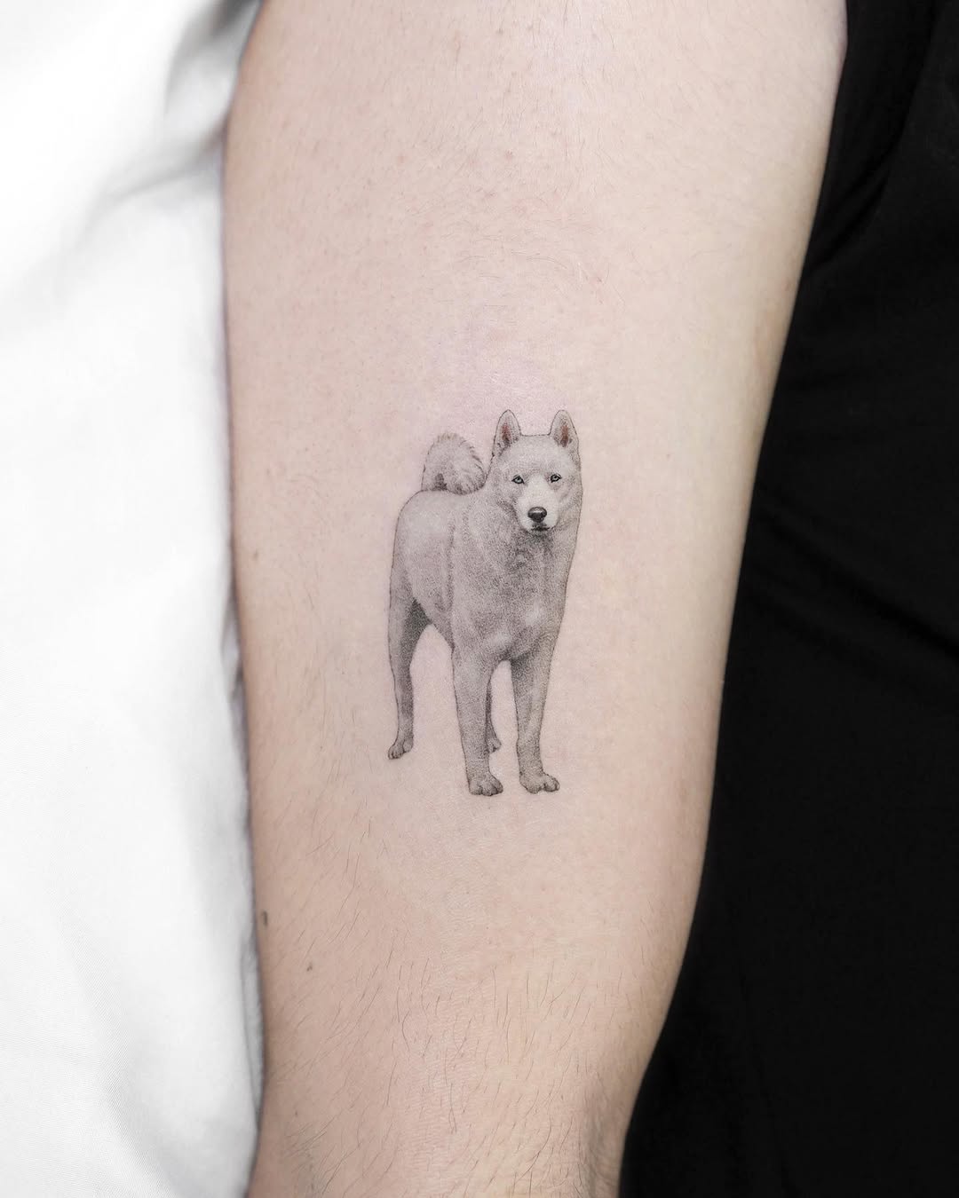 dorok.tattoo