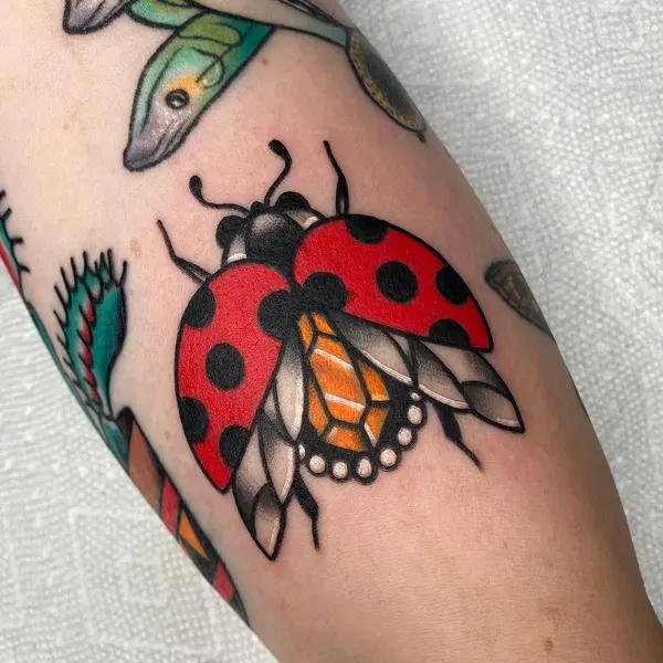 Animal, Mini