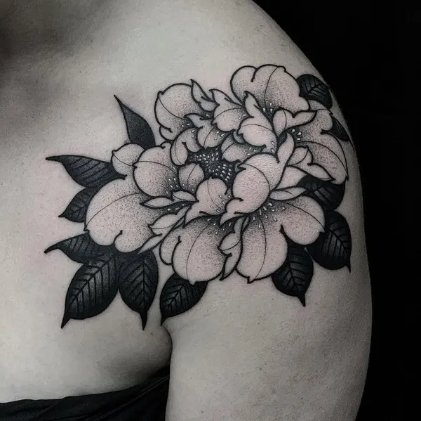 Flower, Rose, Nature