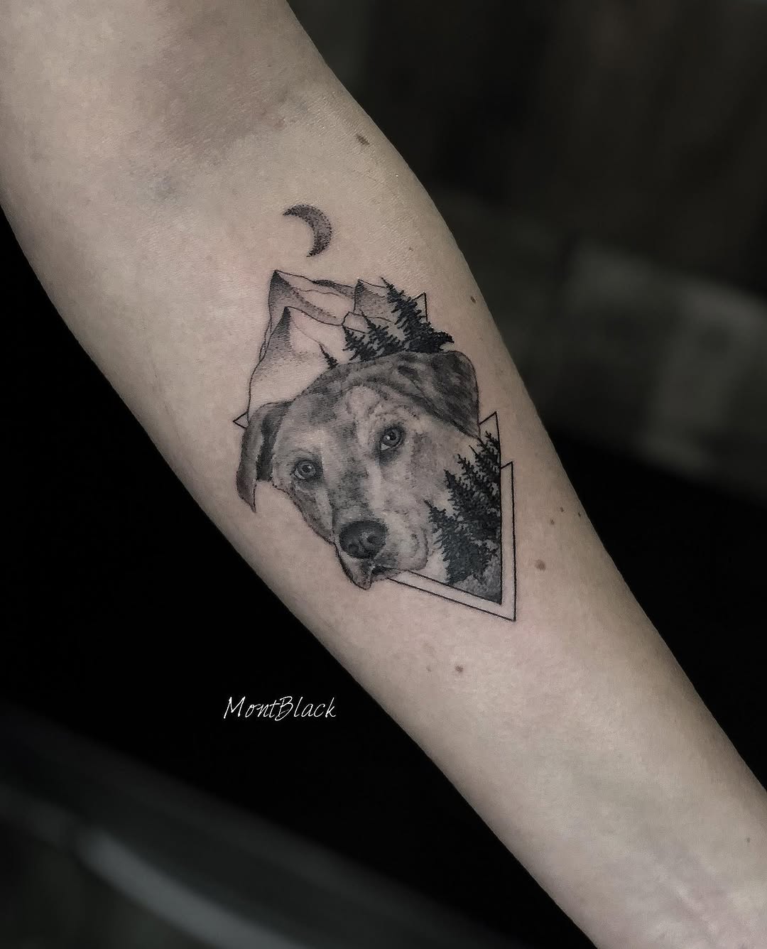 Animal