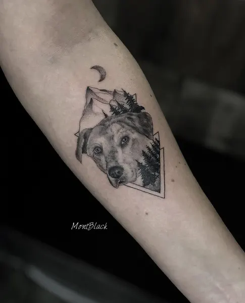 Animal