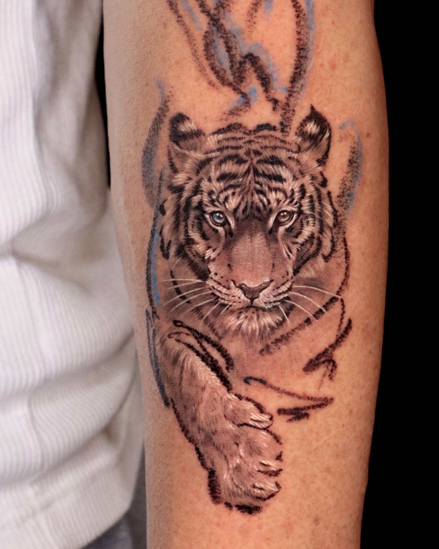 Tiger, 중국 호랑이