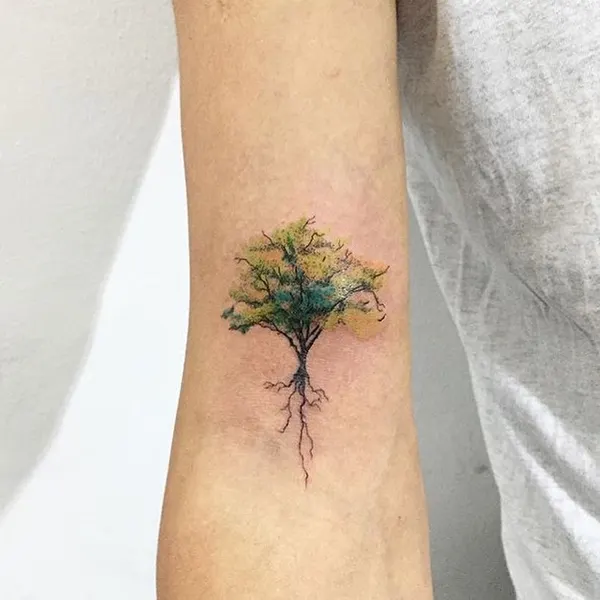 Nature