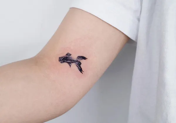 Animal