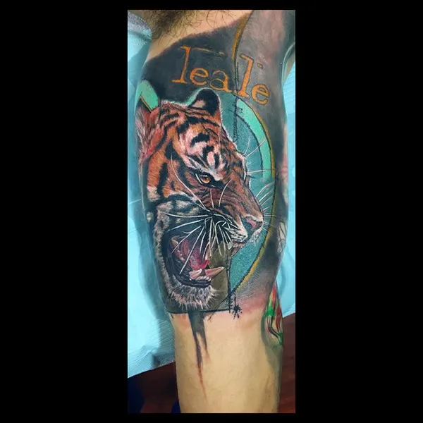 Tiger
