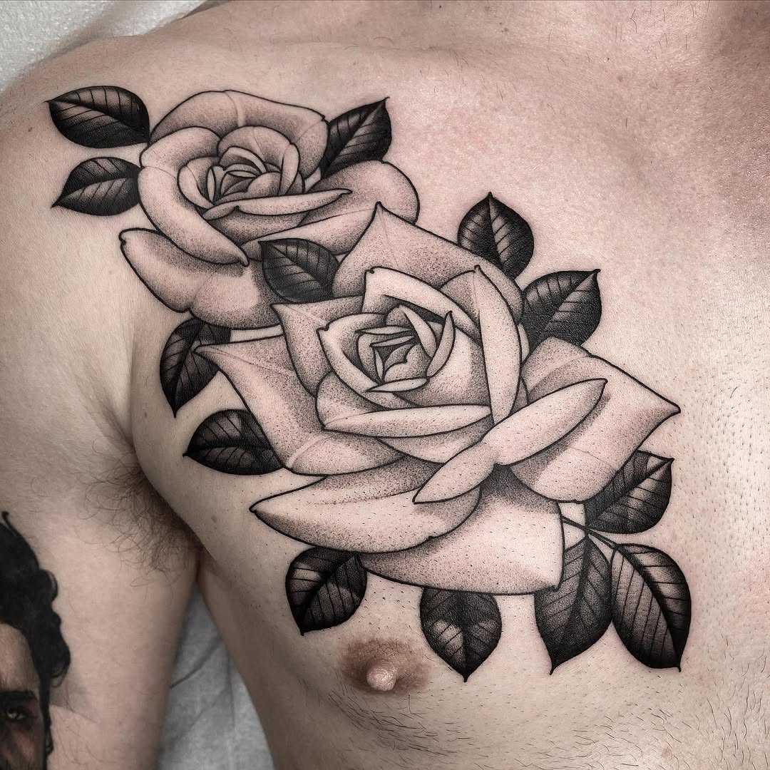 Flower, Rose, Nature