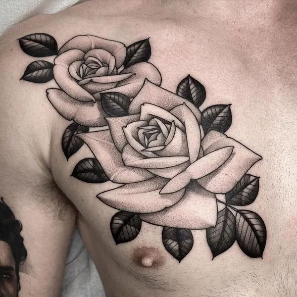 Flower, Rose, Nature