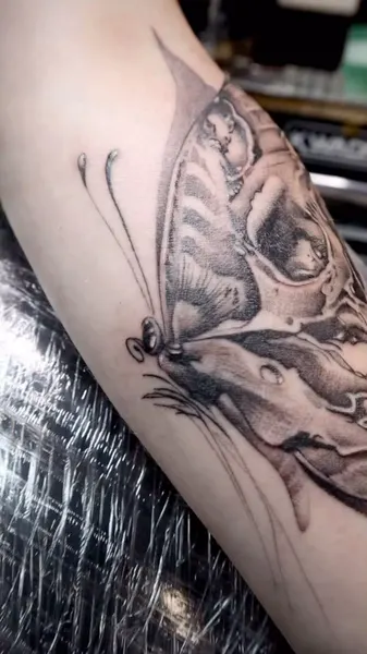 Animal, Nature