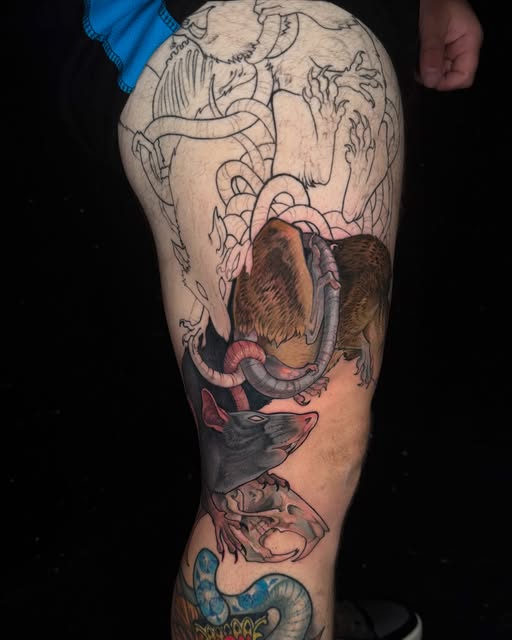 Dragon