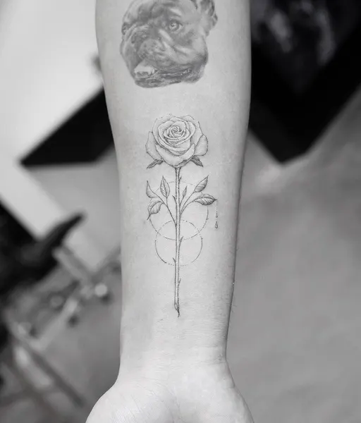 Flower, Rose