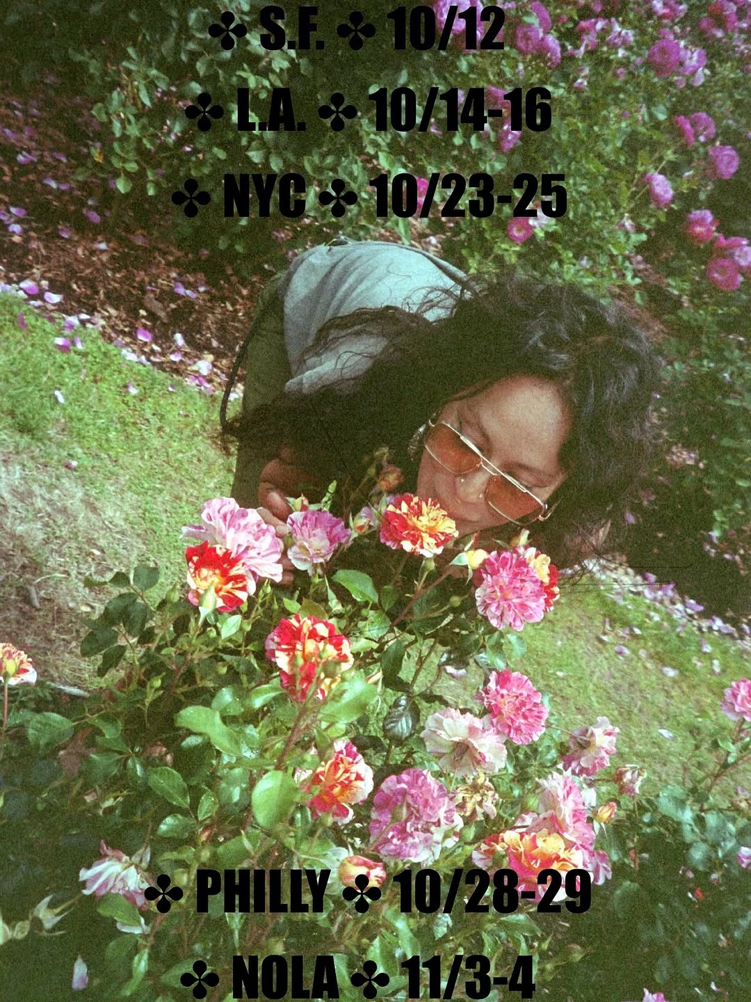 Flower, Nature, Rose