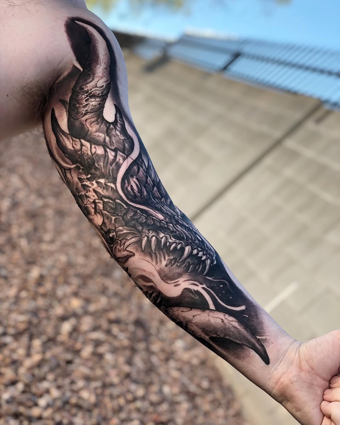 Dragon
