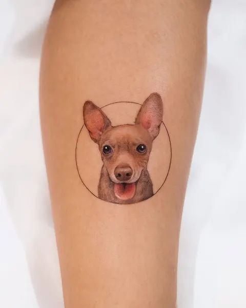 Animal