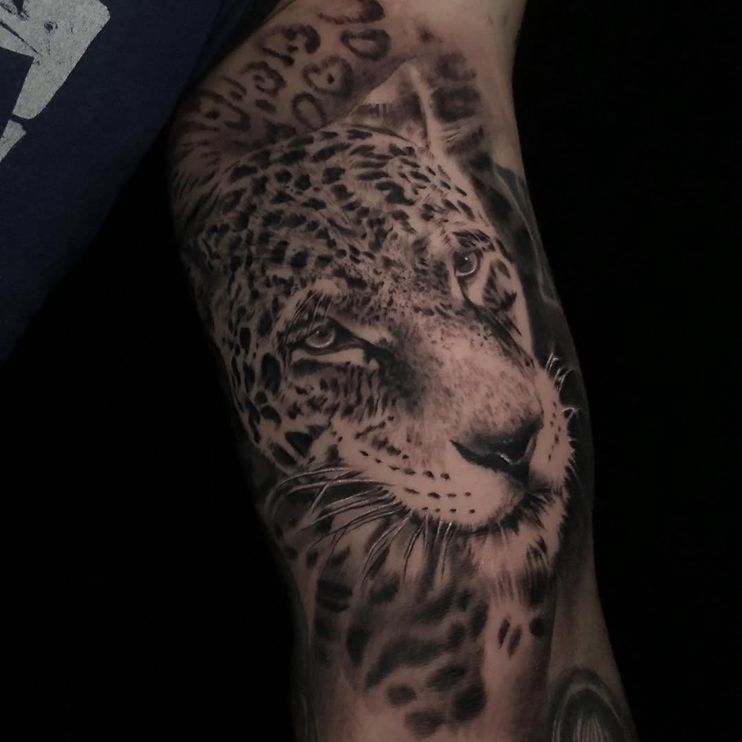 Animal
