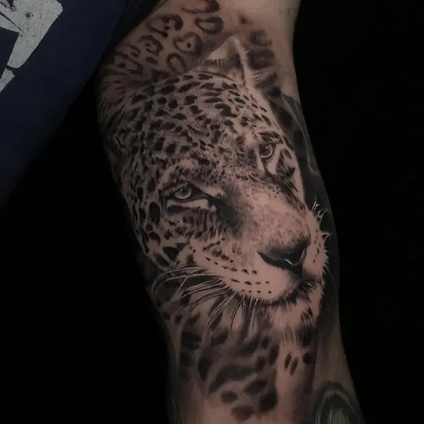 Animal
