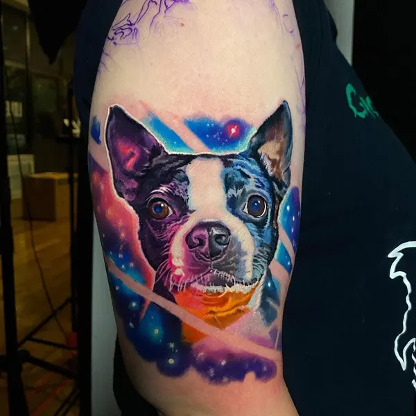 Animal