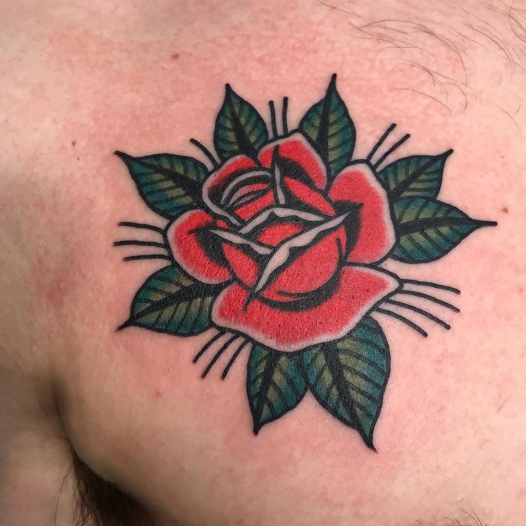 Flower, Rose, Nature