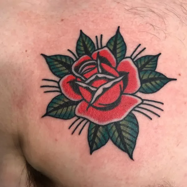 Flower, Rose, Nature