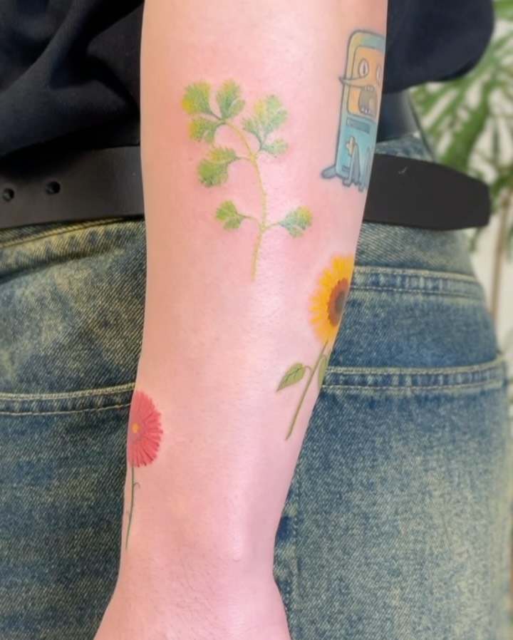 Flower, 해바라기, 데이지