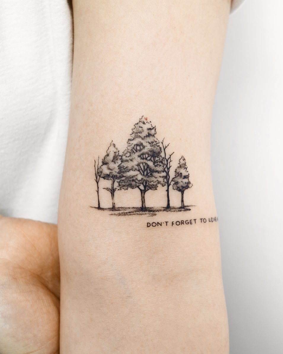 Nature, 숲, 소나무, 나무